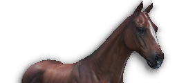 Cheval sumpter